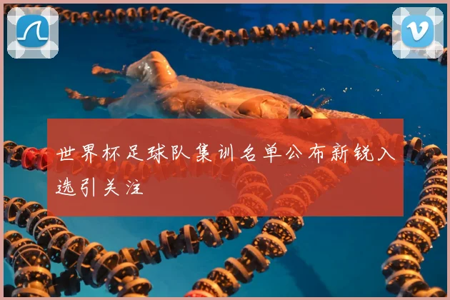 世界杯足球队集训名单公布新锐入选引关注