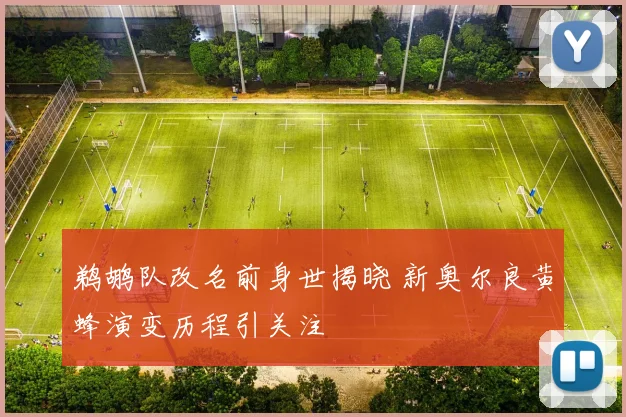 鹈鹕队改名前身世揭晓 新奥尔良黄蜂演变历程引关注