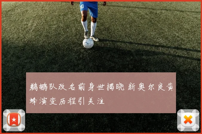 鹈鹕队改名前身世揭晓 新奥尔良黄蜂演变历程引关注