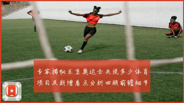 专家揭秘东京奥运会共设多少体育项目及新增看点分析回顾前瞻细节