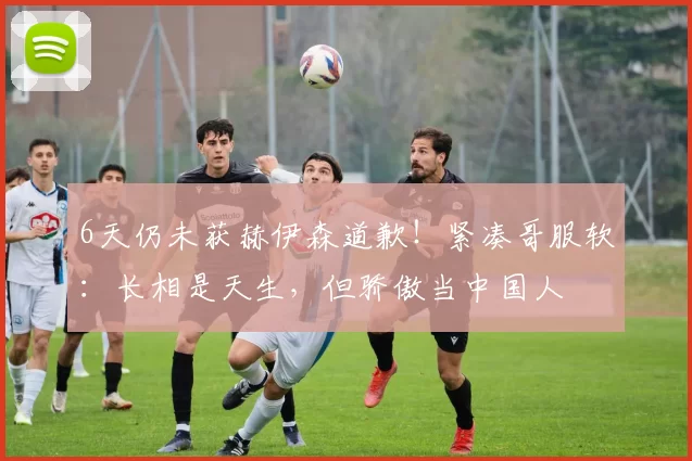 6天仍未获赫伊森道歉!紧凑哥服软:长相是天生,但骄傲当中国人