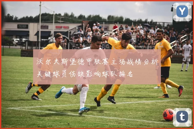 沃尔夫斯堡德甲联赛主场战绩分析关键球员伤缺影响球队排名