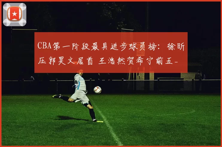 CBA第一阶段最具进步球员榜：徐昕压郭昊文居首 王浩然贺希宁前五_辽宁_广东_广州